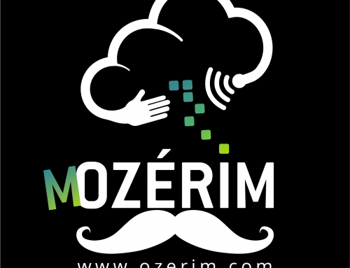 Ozérim soutient Movember et crée une équipe nommée Mozérim.